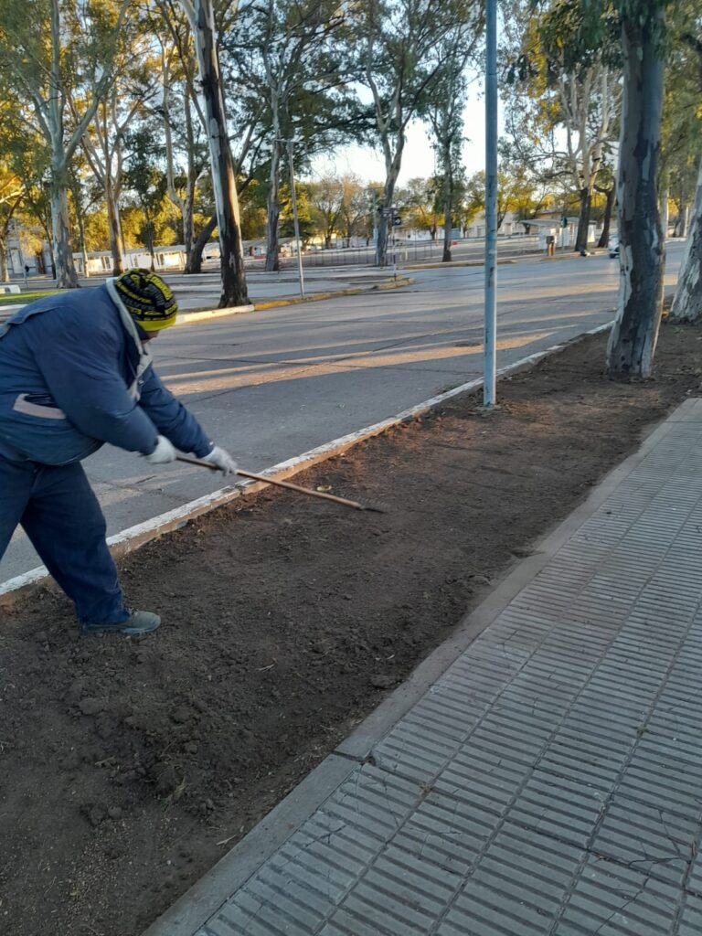 SIGUEN LOS TRABAJOS DE MANTENIMIENTO EN LOS ESPACIOS VERDES DE PATAGONES