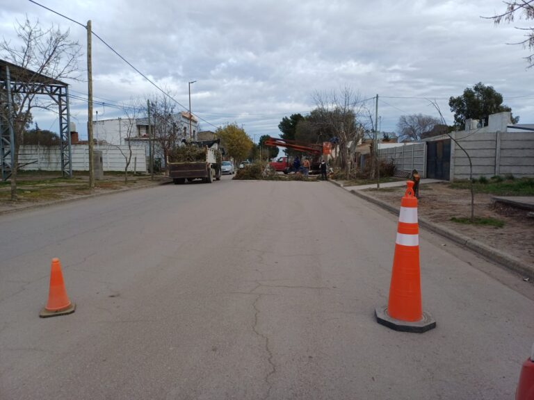 TRABAJOS DE PODA EN JUAN A. PRADERE