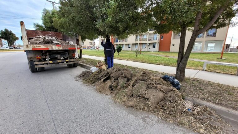 PODA, MANTENIMIENTO Y REFACCIÓN DE ESPACIOS VERDES DE CARMEN DE PATAGONES