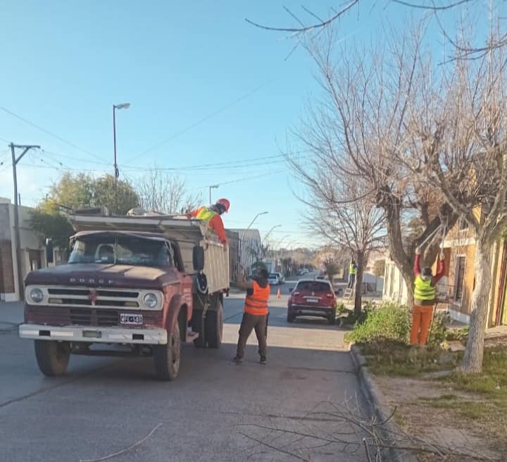 TRABAJOS DE PODA, RIEGO Y ARBOLADO URBANO