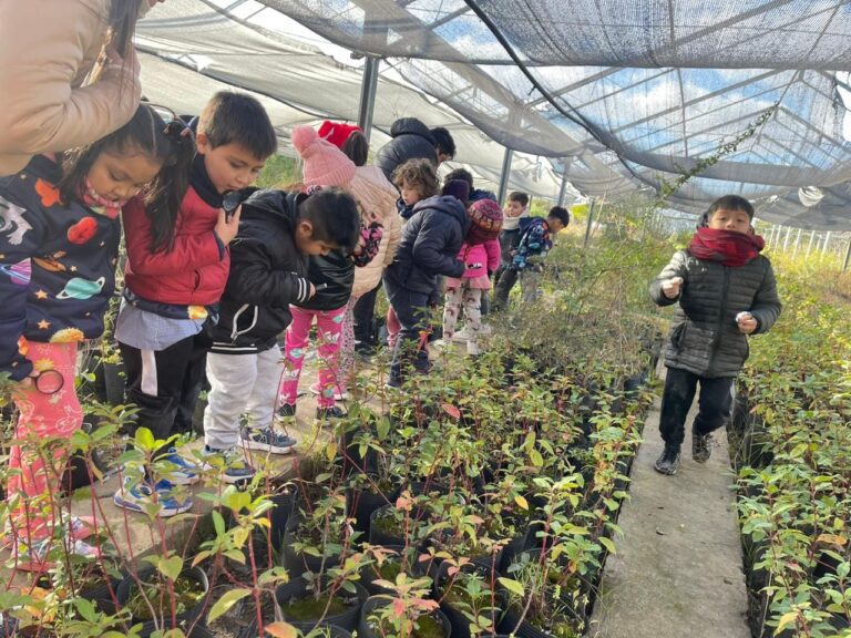 ACTIVIDADES DE CIENCIA EN EL VIVERO MUNICIPAL DE PATAGONES