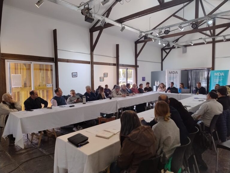 PATAGONES PRESENTE EN EL CONSEJO REGIONAL DEL SUDOESTE