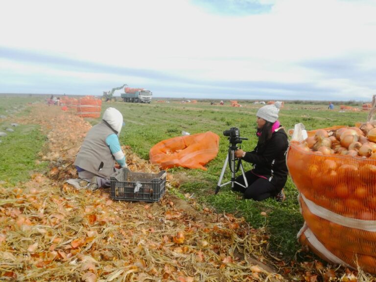 LA CARA HUMANA DE LA PRODUCCIÓN CEBOLLERA: ‘DESDE LA TIERRA’, UN DOCUMENTAL DE GISELA VELA