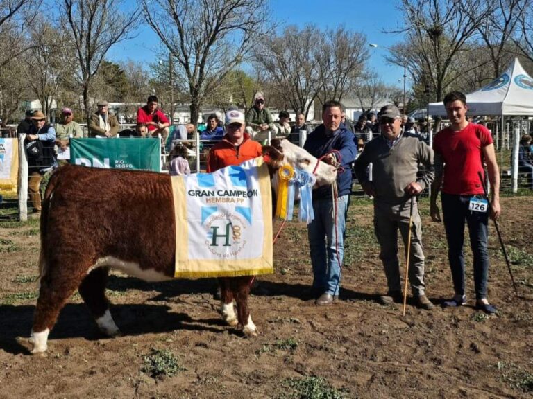 PATAGONES COSECHÓ IMPORTANTES PREMIOS EN LA EXPOSICIÓN DE LA COMARCA