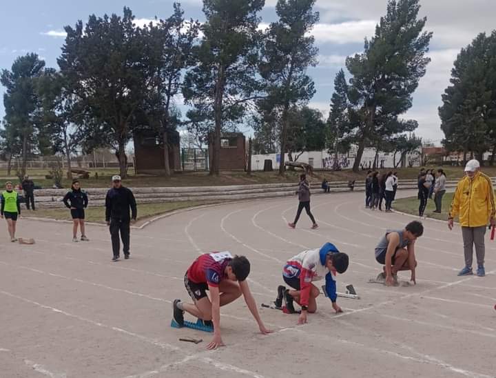 CINCO ATLETAS DEL PARTIDO DE PATAGONES CLASIFICARON PARA LA FINAL DE LOS BONAERENSES