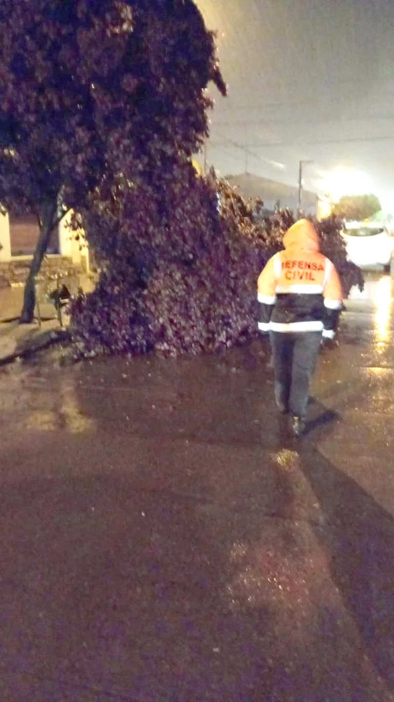 DEFENSA CIVIL INTERVINO EN EMERGENCIAS DURANTE LA TORMENTA DE ESTE MIÉRCOLES