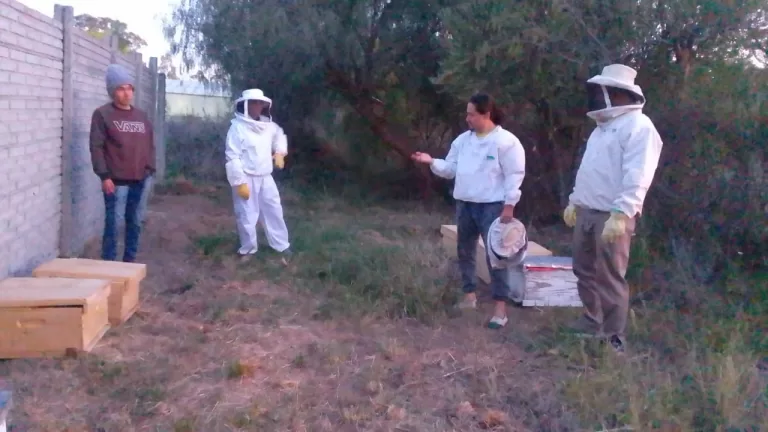 APOYO AL DESARROLLO DE LA PRODUCCIÓN APÍCOLA