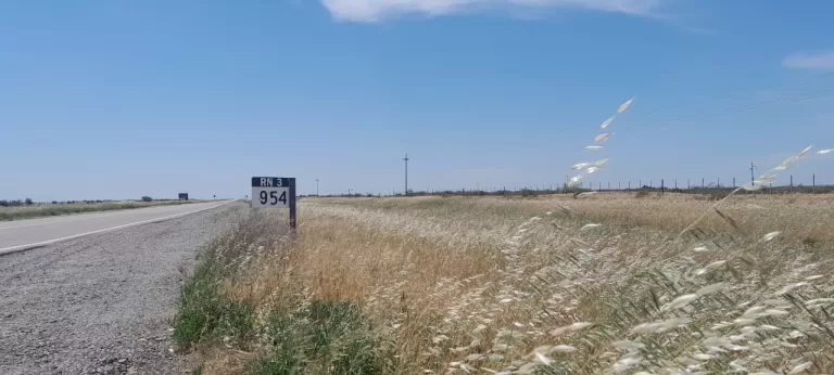 El Intendente Marino gestiona ante Vialidad Nacional por segado de pastizales en la Ruta N° 3