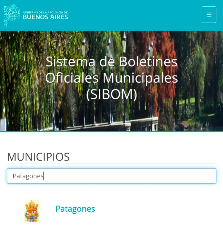 PATAGONES SE INCORPORA AL DEL SISTEMA DE BOLETINES OFICIALES MUNICIPALES