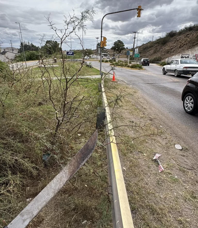 TRABAJOS DE MANTENIMIENTO EN ESPACIOS VERDES DE CARMEN DE PATAGONES