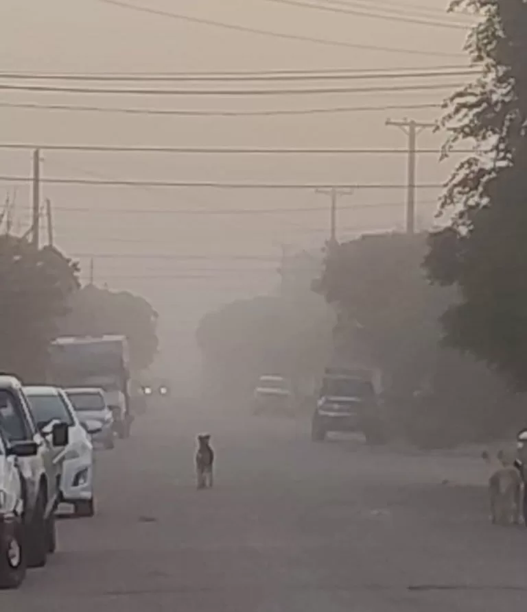 ⚠️Precaución por niebla⚠️