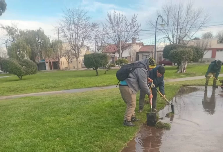 Mantenimiento y mejoras en espacios públicos de Patagones