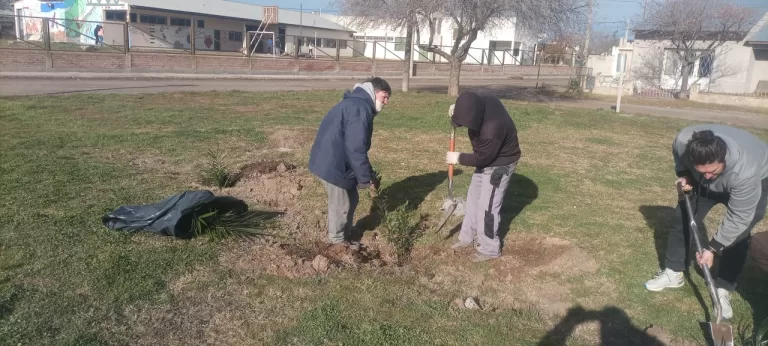 MEJORAS EN LOS ESPACIOS PÚBLICOS DE LA CIUDAD
