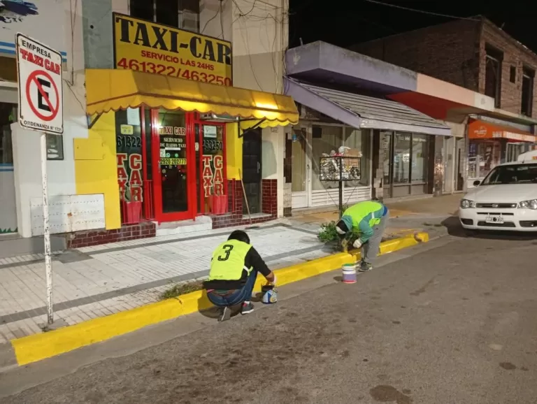 EMBELLECIMIENTO DE PLATAFORMAS DE TAXIS EN CARMEN DE PATAGONES