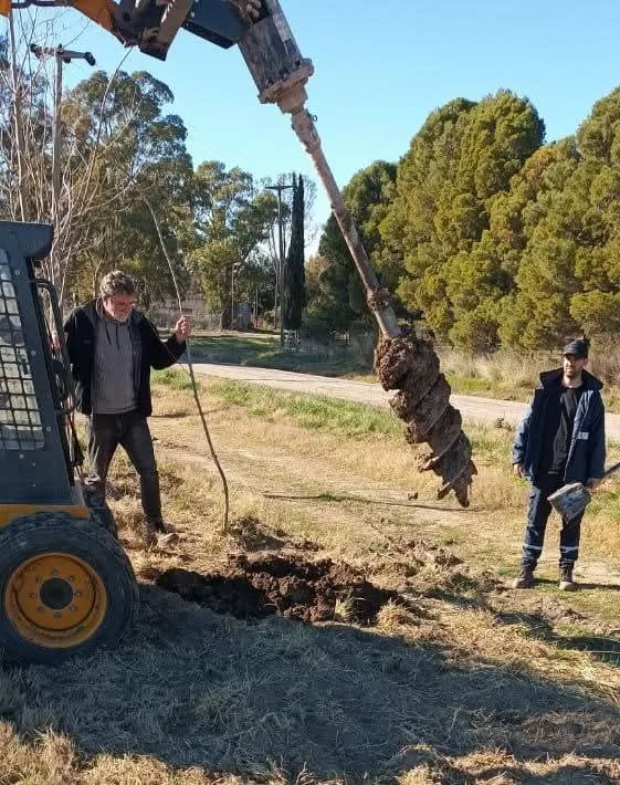 🌿 100 álamos plantados en Villalonga 🌿