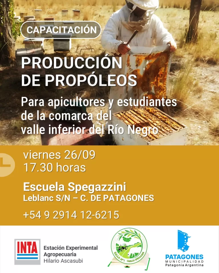 🐝 Capacitación en Producción de propóleos 🍯