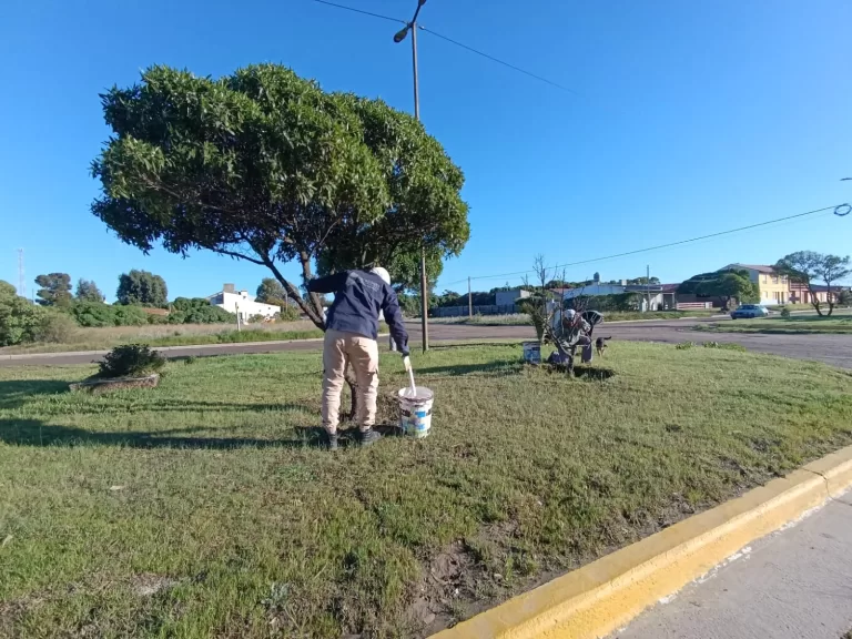 TRABAJOS DE MANTENIMIENTO Y EMBELLECIMIENTO EN BAHIA SAN BLAS