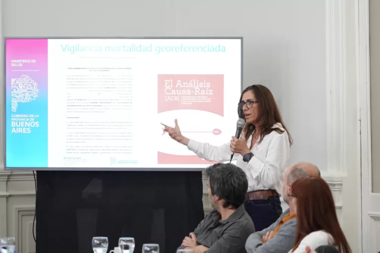 Patagones participó del Consejo Regional de Salud