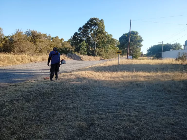 CORTE DE CÉSPED Y DESMALEZADO EN SAN BLAS