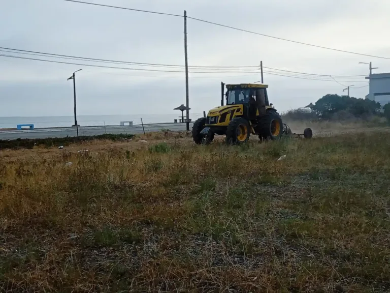 🧹🌿 TRABAJOS DE CORTE DE CÉSPED Y DESMALEZADO EN SAN BLAS 🌿