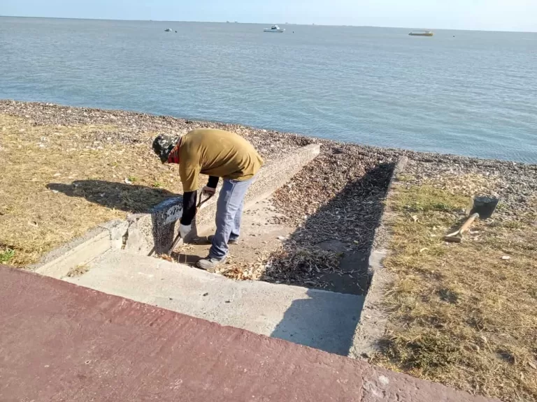 Mantenimiento de desagües pluviales en la costanera de Bahía San Blas