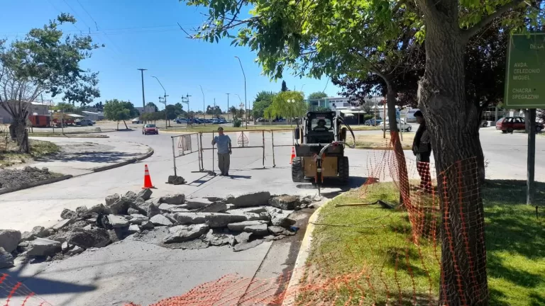 Servicios urbanos: trabajos en marcha