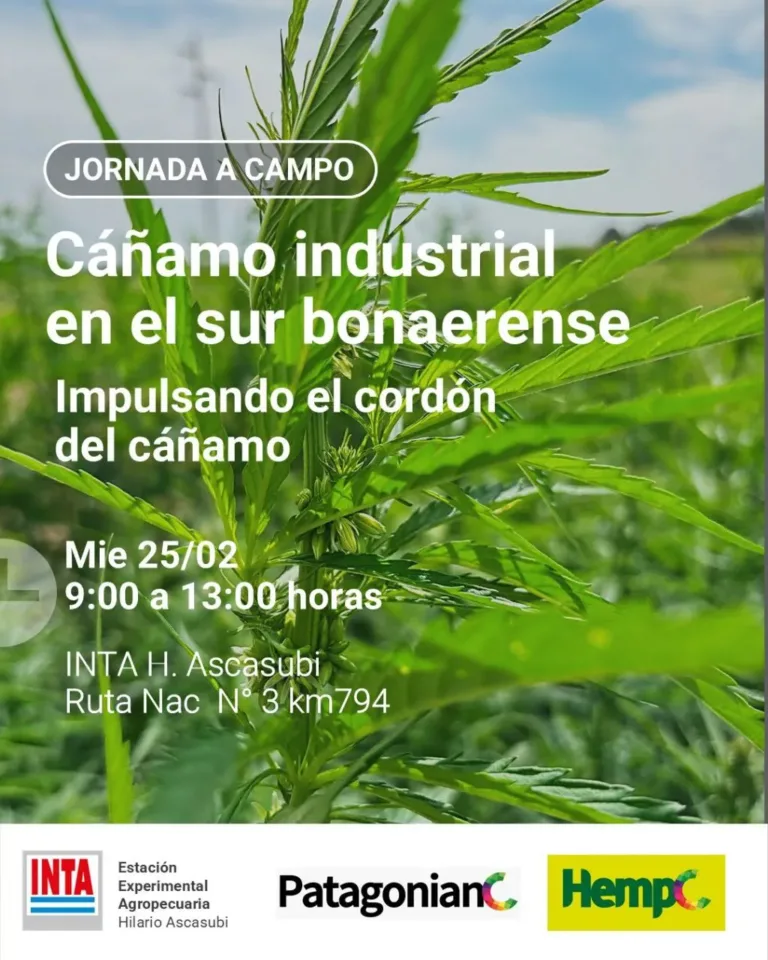 Abierta la inscripción para la jornada a campo sobre cáñamo industrial en el sur bonaerense