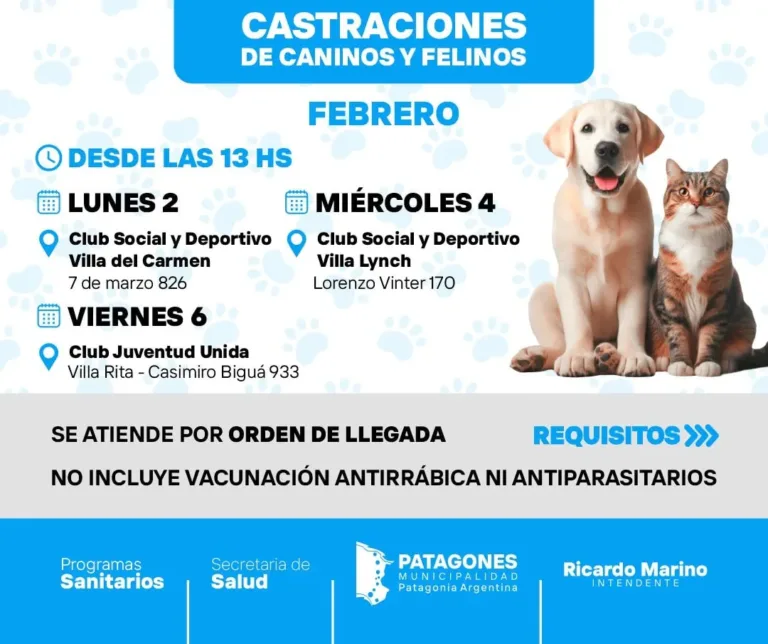 Inician jornadas de castración para perros y gatos en el Club Social y Deportivo Villa del Carmen