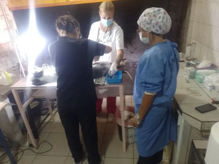 Jornada de castraciones en el Club Social y Deportivo Villa Lynch