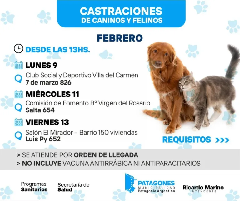 Nueva jornada de castraciones para perros y gatos este miércoles