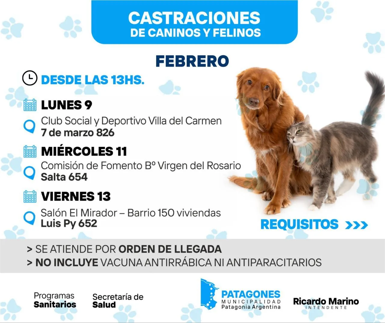Nueva jornada de castraciones para perros y gatos este miércoles