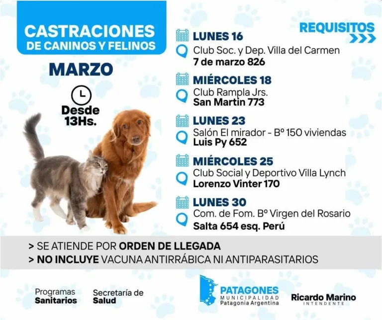 Jornada de castración de perros y gatos en Club Rampla