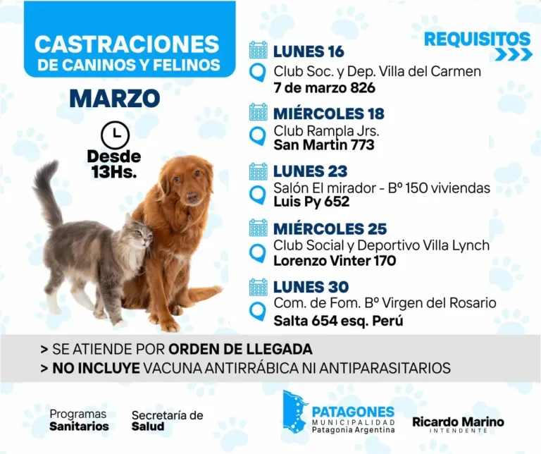 Nuevas jornadas de castración gratuita para caninos y felinos durante marzo