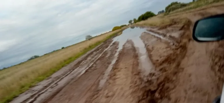 Municipalidad de Patagones avanza en reparación y mantenimiento de caminos rurales en Pradere
