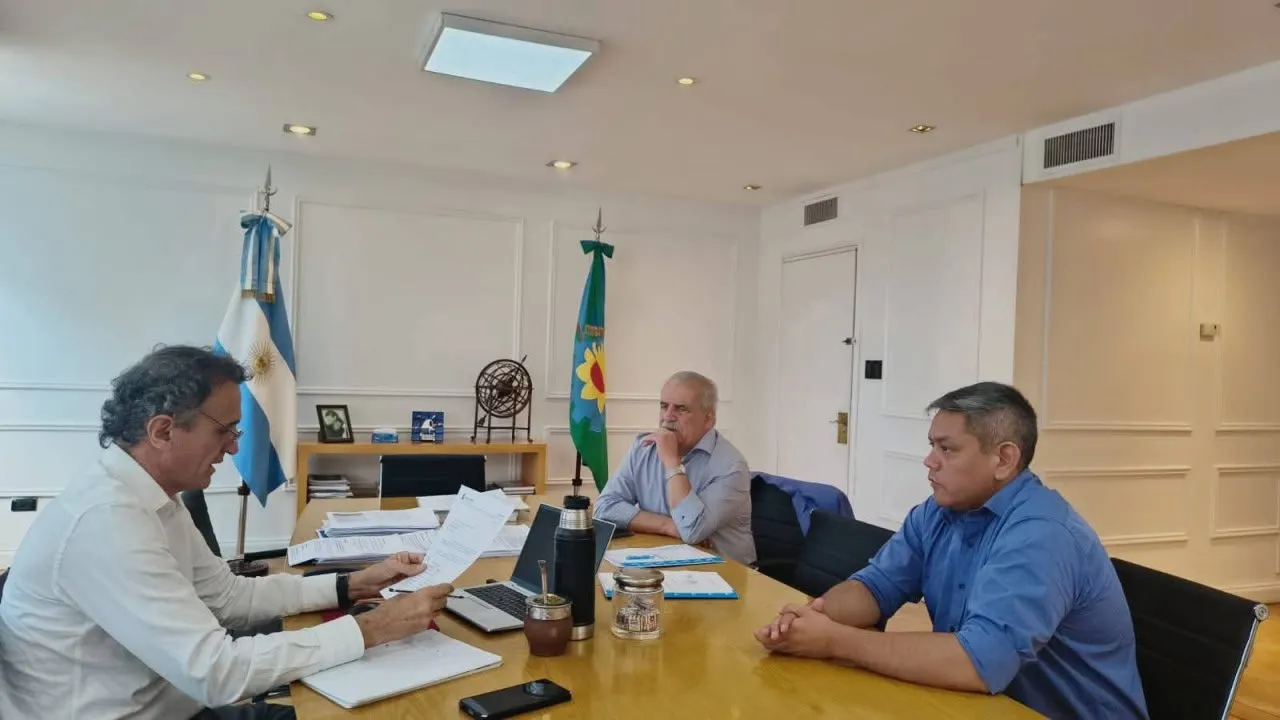 Presentan en La Plata proyecto para segunda etapa de acceso por calle Irigoyen en Patagones