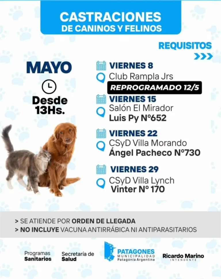 Se reprograma la jornada de castración de mascotas
