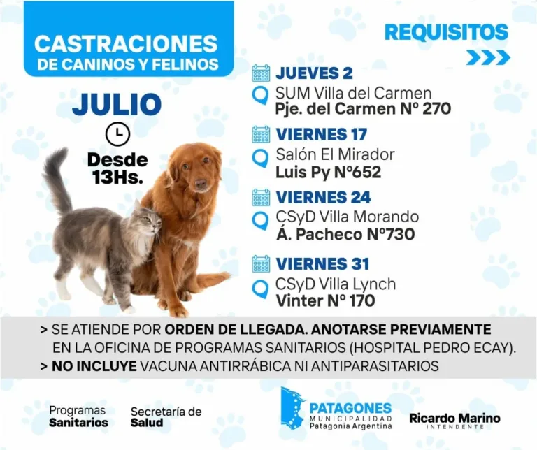 Continúan en julio las jornadas de castración en Carmen de Patagones