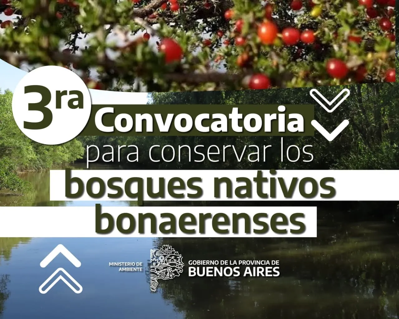 Convocan a productores con bosque nativo a presentar planes de manejo y conservación