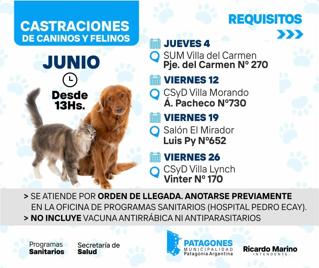 Cronograma de castraciones de caninos y felinos para junio