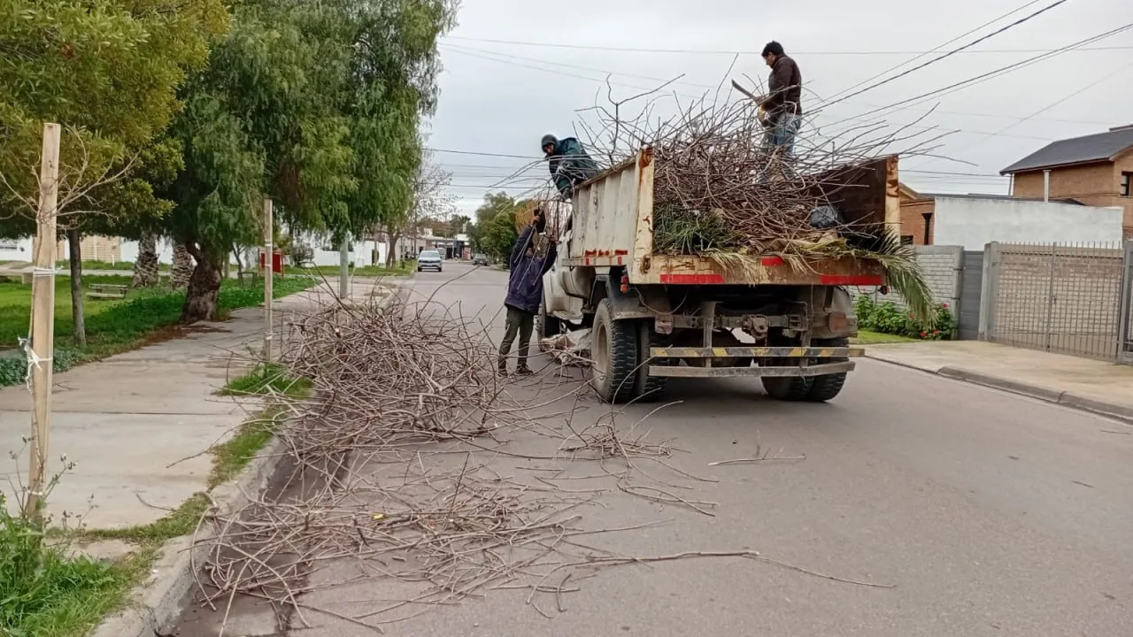 Tareas de poda, mantenimiento y puesta en valor de espacios públicos