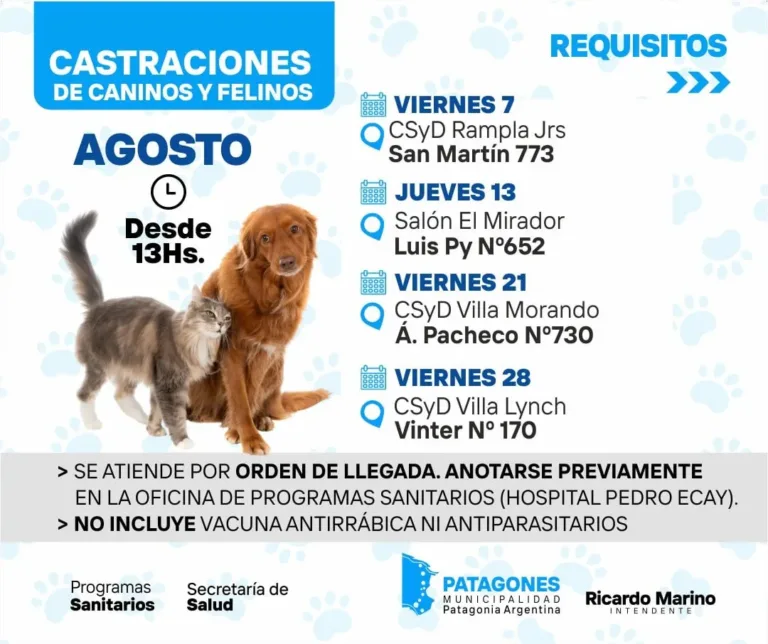 Campaña de Castraciones en Patagones - Agosto