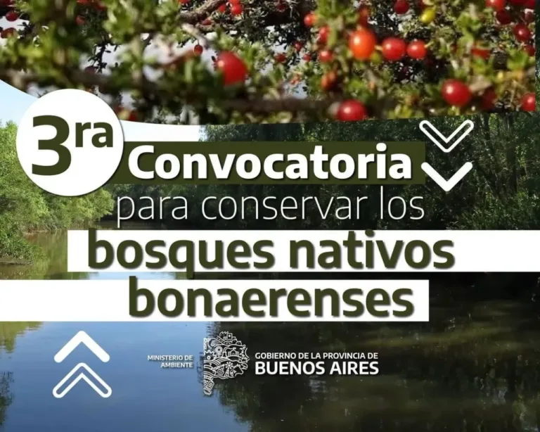 Convocatoria 2026 de Planes de Bosques Nativos: actividades en Carmen de Patagones
