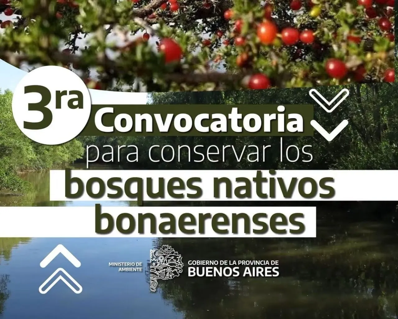 Convocatoria 2026 de Planes de Bosques Nativos: actividades en Carmen de Patagones