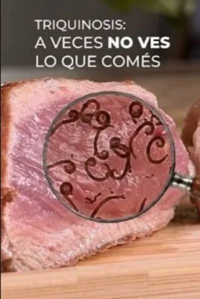 Prevención de triquinosis: análisis obligatorio de carne de cerdo y jabalí antes de elaborar chacinados