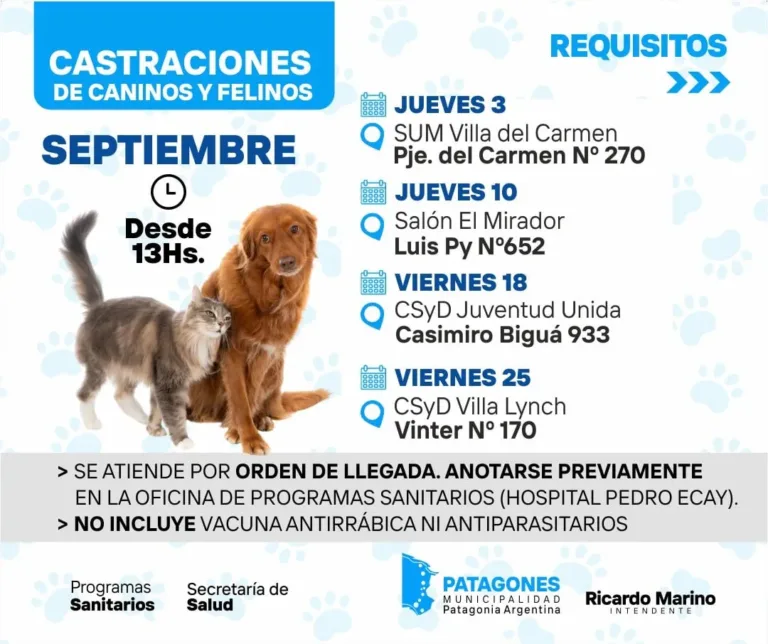 Castraciones de caninos y felinos en septiembre