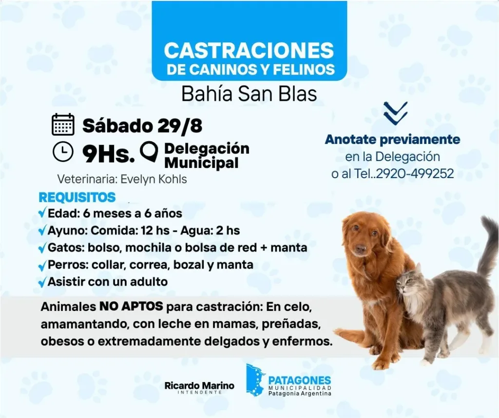 Jornada de castraciones en Bahía San Blas