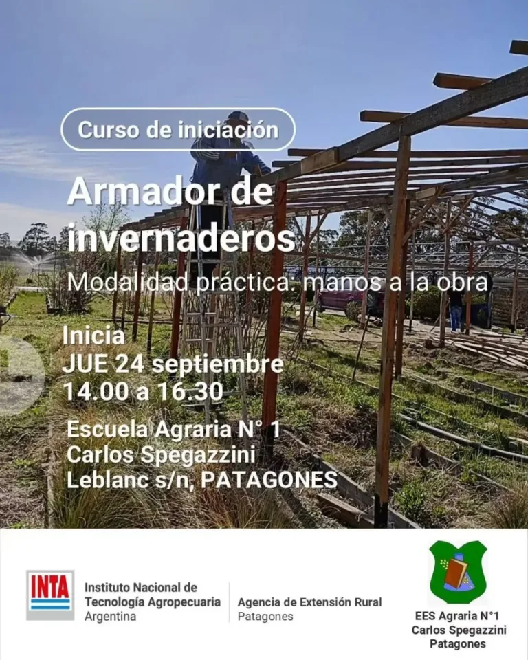 INTA y Escuela Secundaria Agraria N°1 Inician Curso Práctico de Armador de Invernaderos