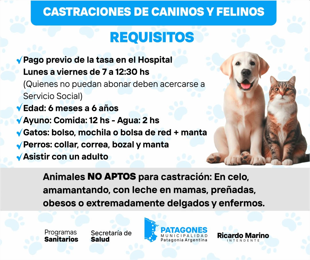 Castraciones de caninos y felinos de la Municipalidad de Patagones: cronograma de noviembre